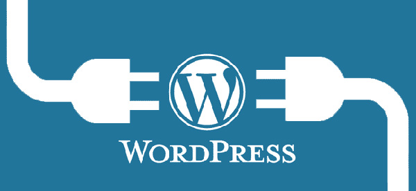 wordpress1